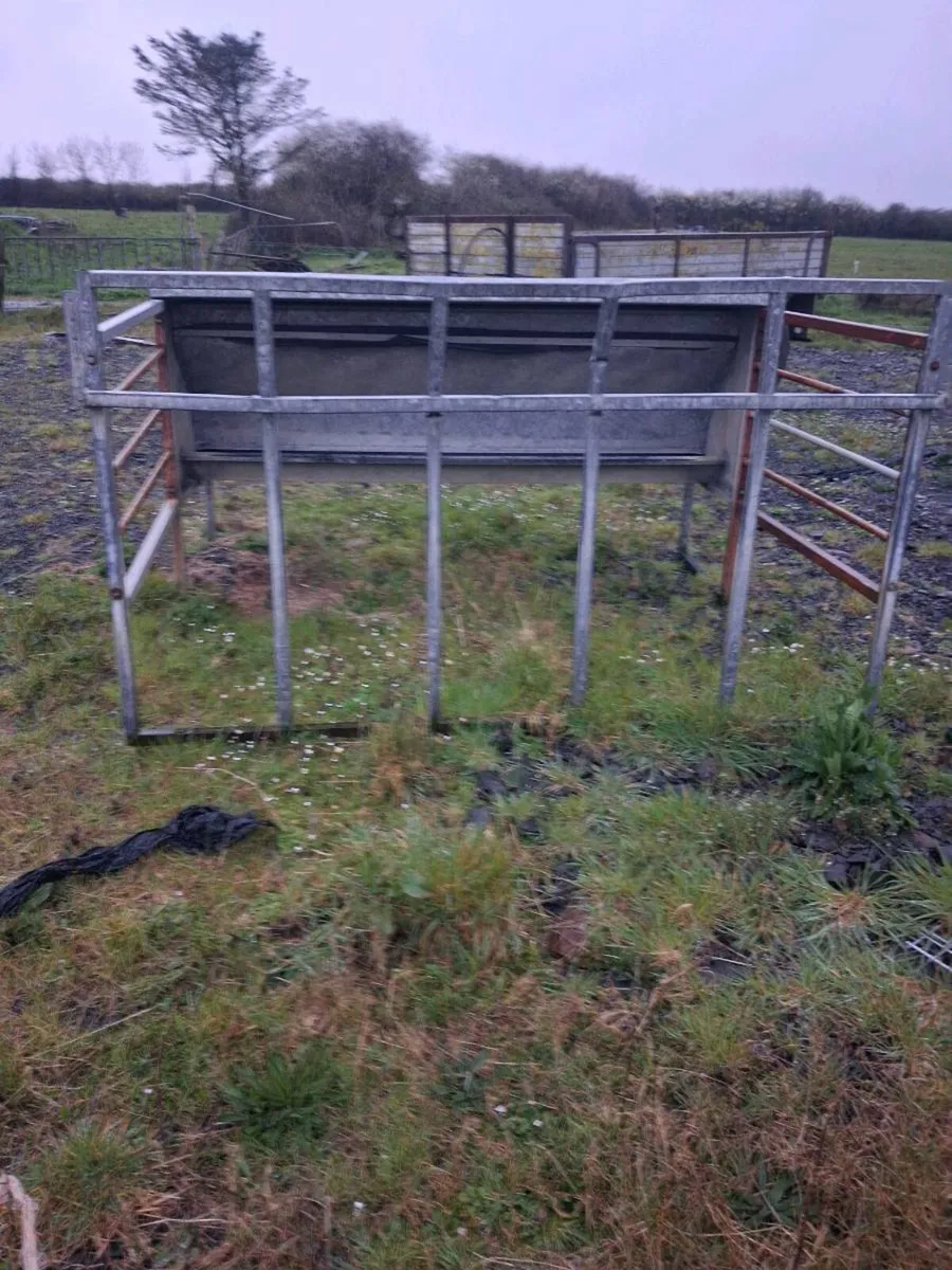 Creep Feeder for Calves - Image 4