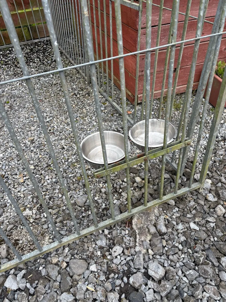 Dog run - Image 4