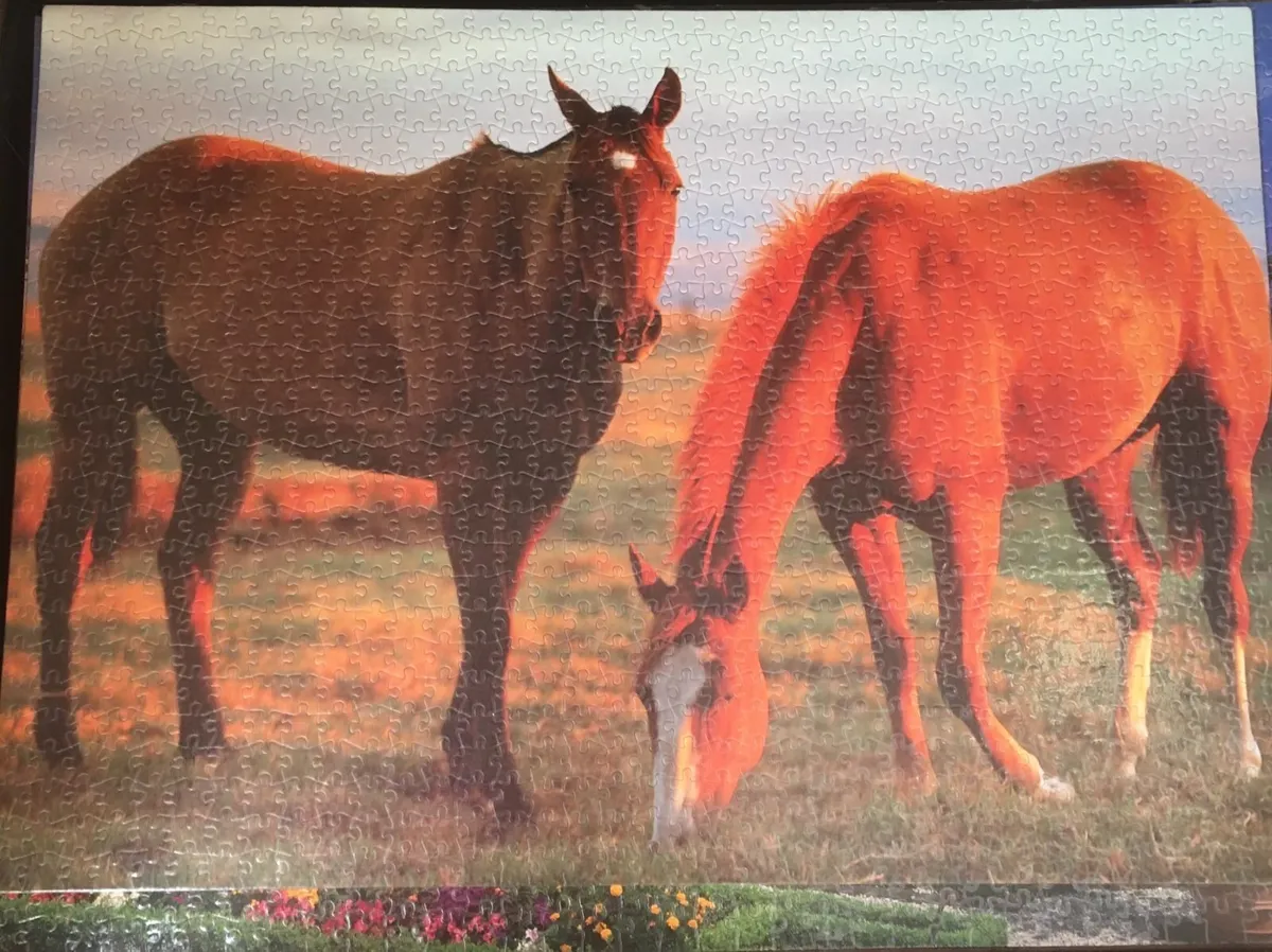 NEW Completed Jigsaws ready to hang on wall - Image 1