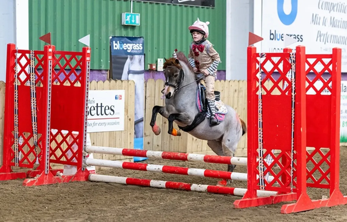 11.2hh pony - Image 1