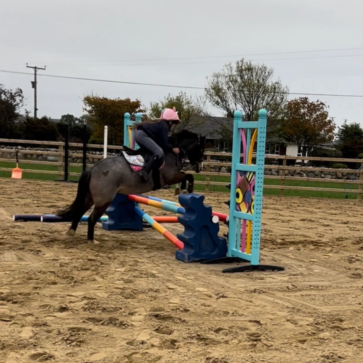 11.2hh pony - Image 3