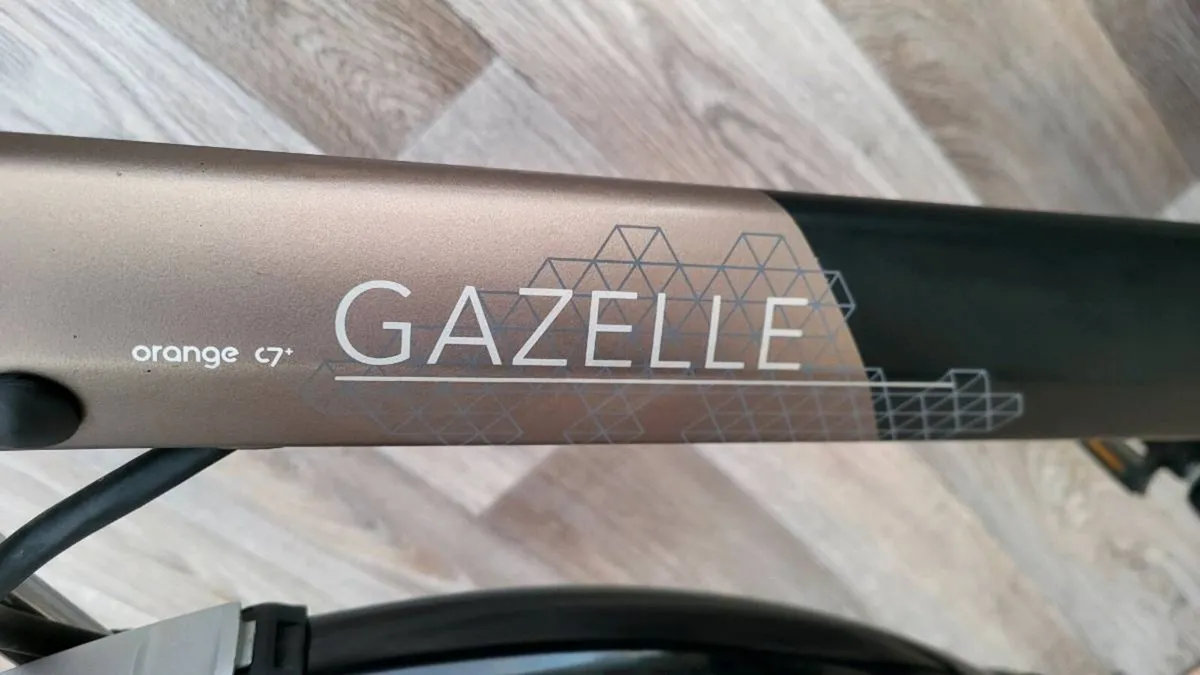 Gazzelle Electric E-bike - Image 2
