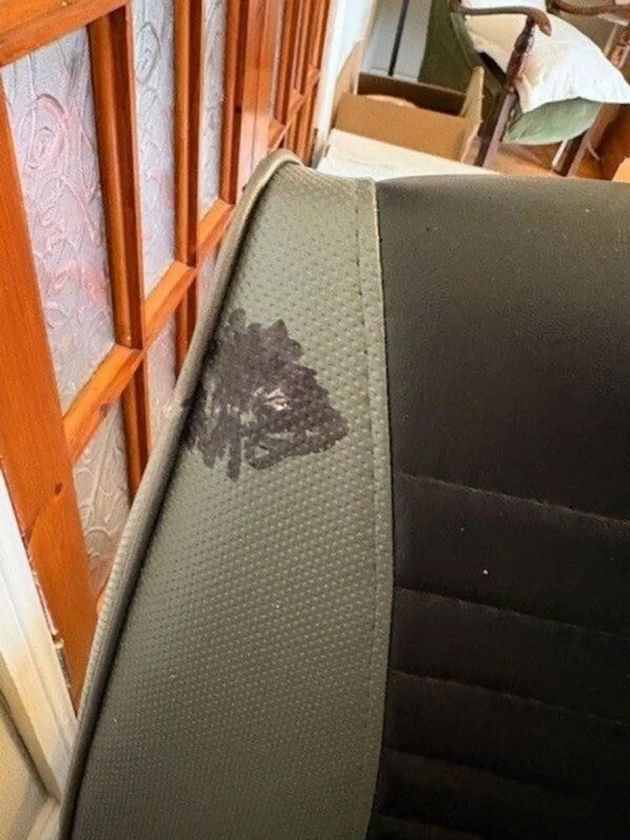 PRO-FORM 325 CSX+ Incumbent Exercise Bike - Image 3