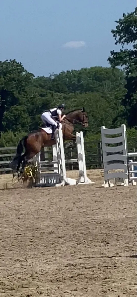 10yr old Connie x - Image 2