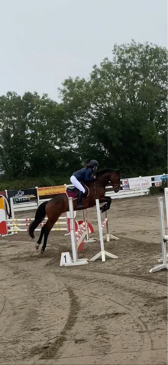 10yr old Connie x - Image 4