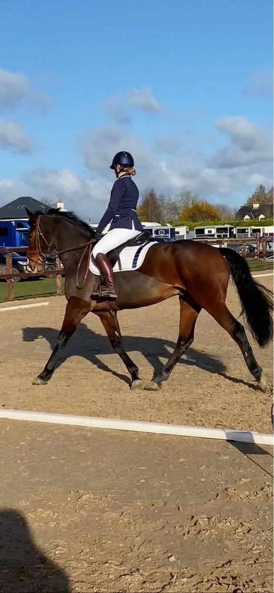 10yr old Connie x - Image 3