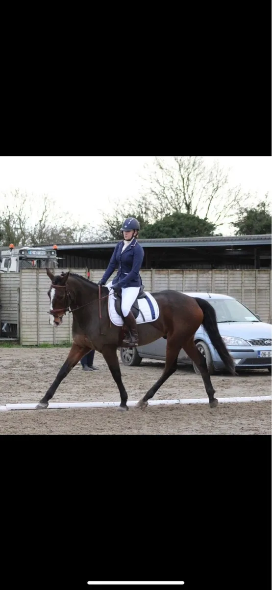 10yr old Connie x - Image 1