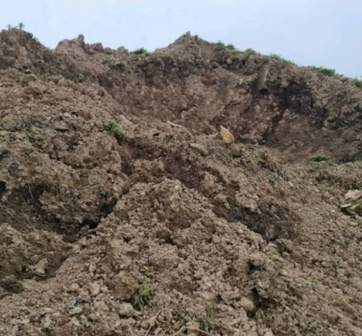 Top soil