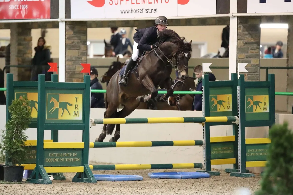 Connemara Stallion at Stud | Carnakilly Mac Guire - Image 4