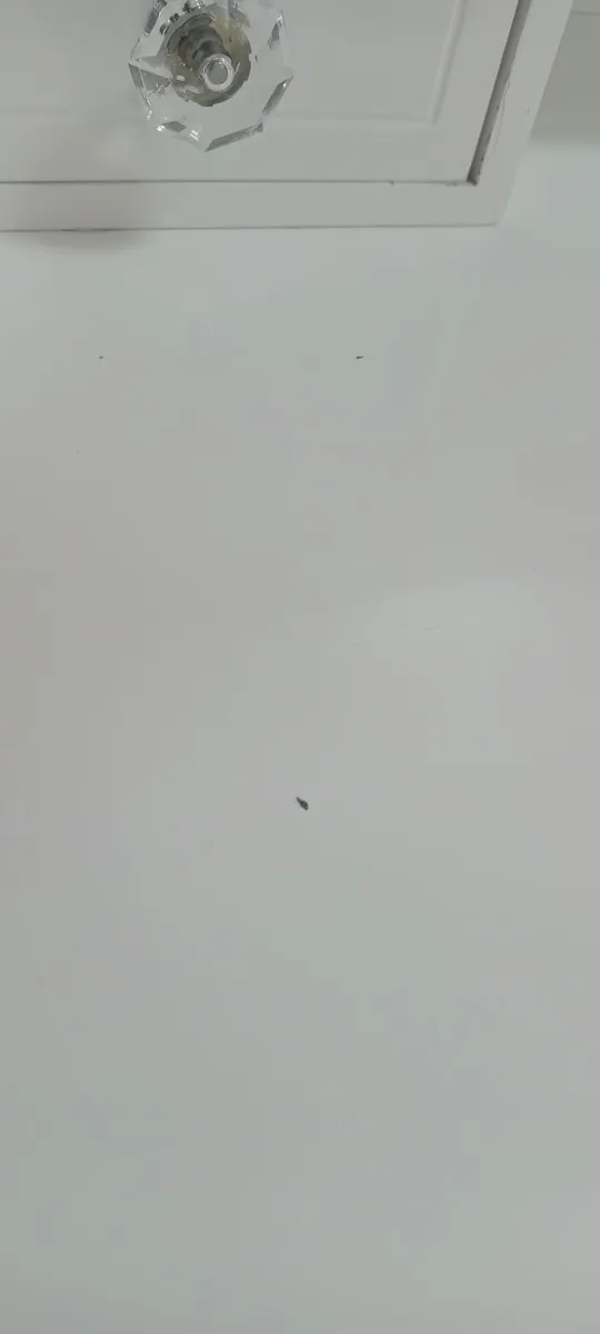 Vanity table - Image 3