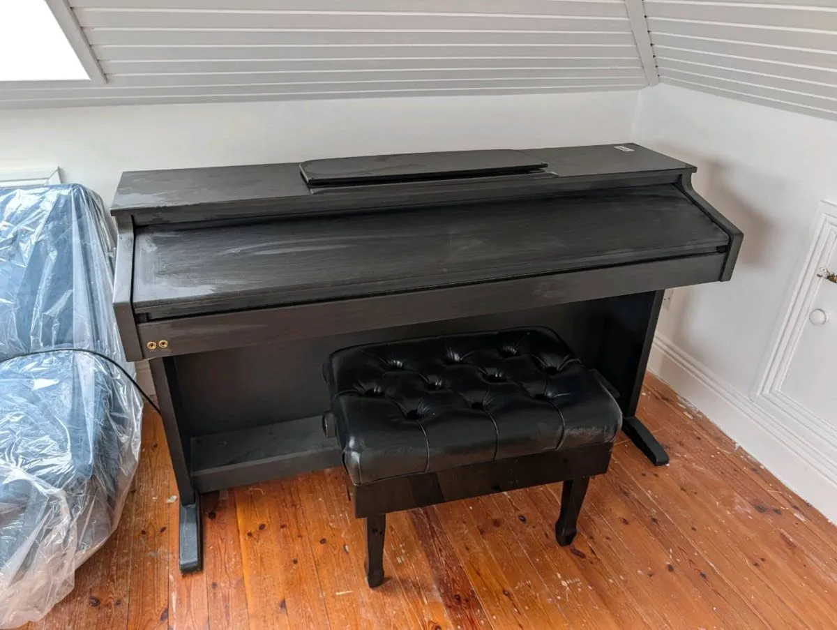 Hemmingway DP501 Piano - Image 2