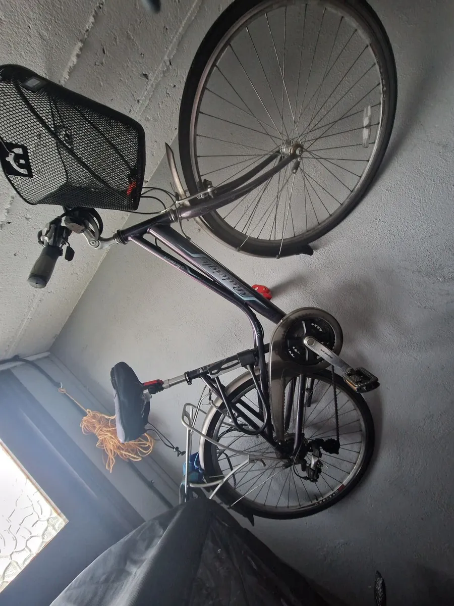 Ladies Bike - Image 2