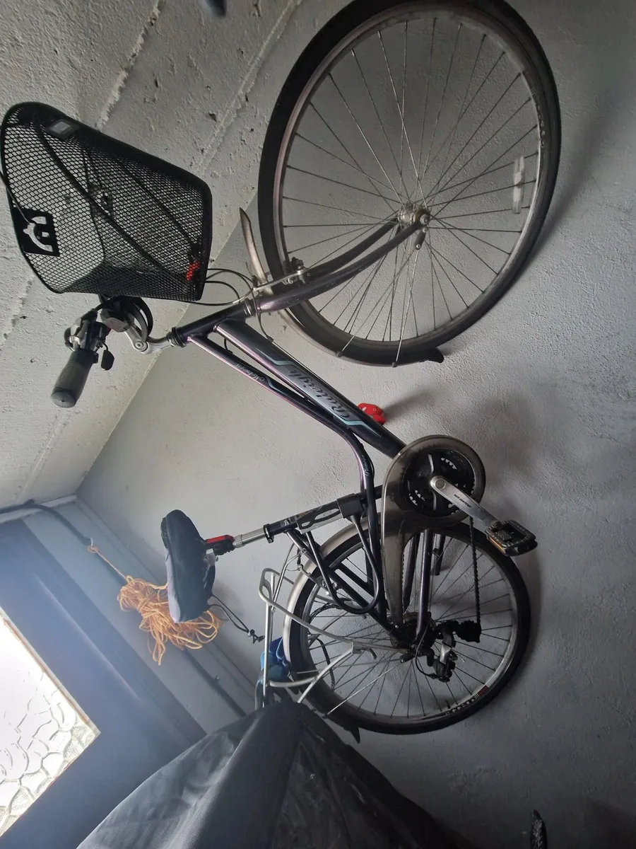 Ladies Bike - Image 3