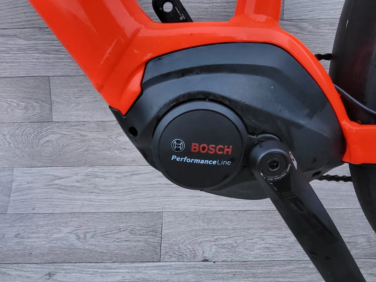 Cannondale Canvas - Image 4