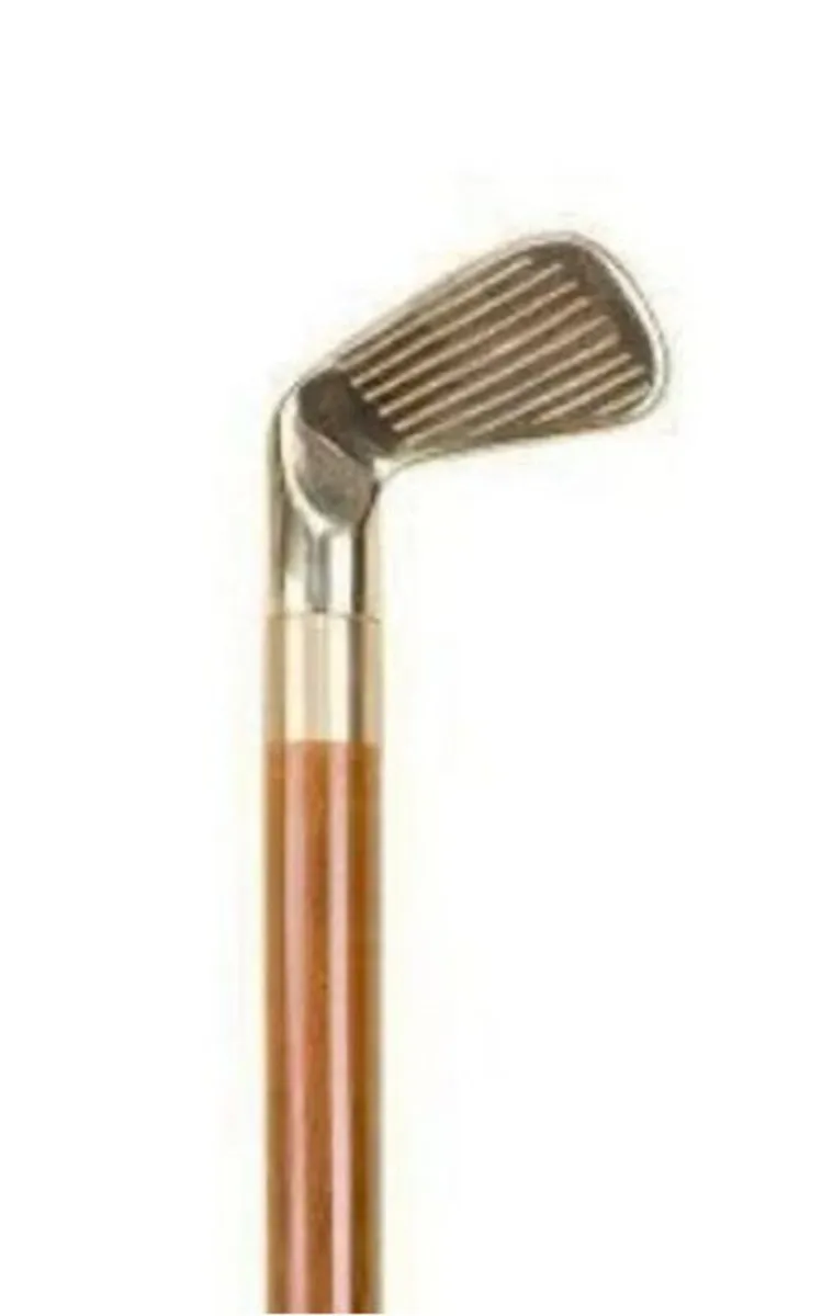 Vintage Walking/Drinking Stick - Image 3