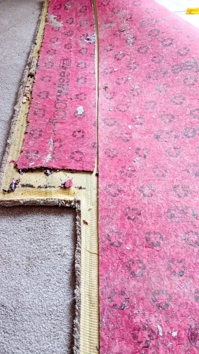 Free Carpet - Image 1