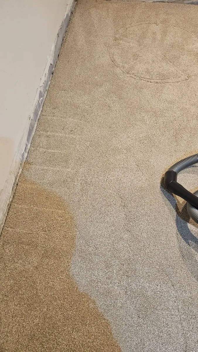 Free Carpet - Image 2