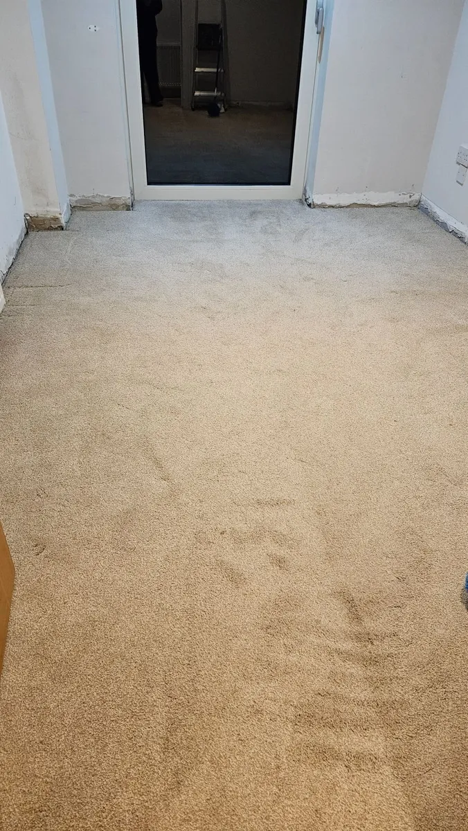 Free Carpet - Image 3