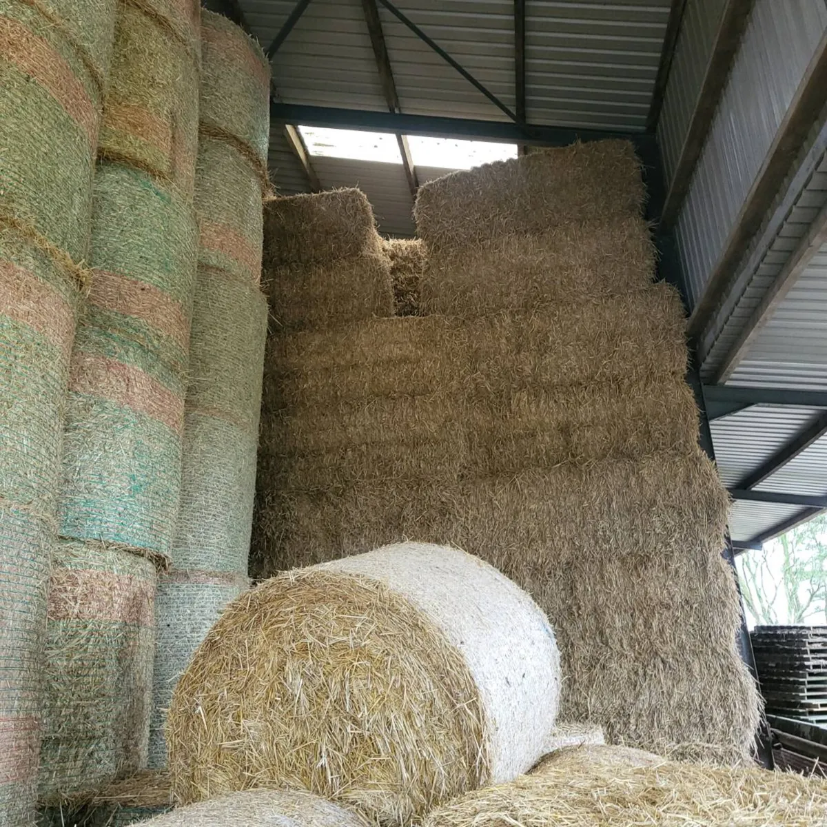 Barley straw - Image 1