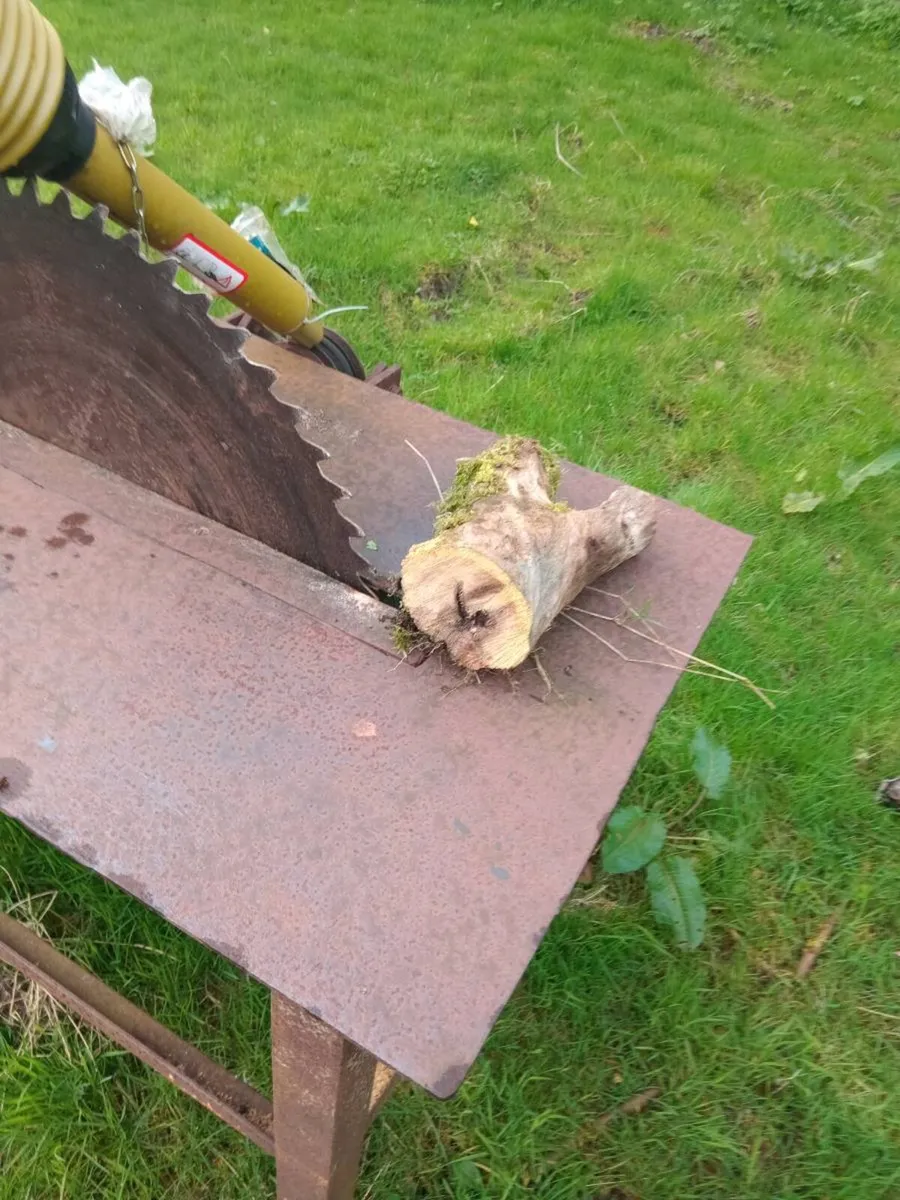 BENCH  SAW - Image 4