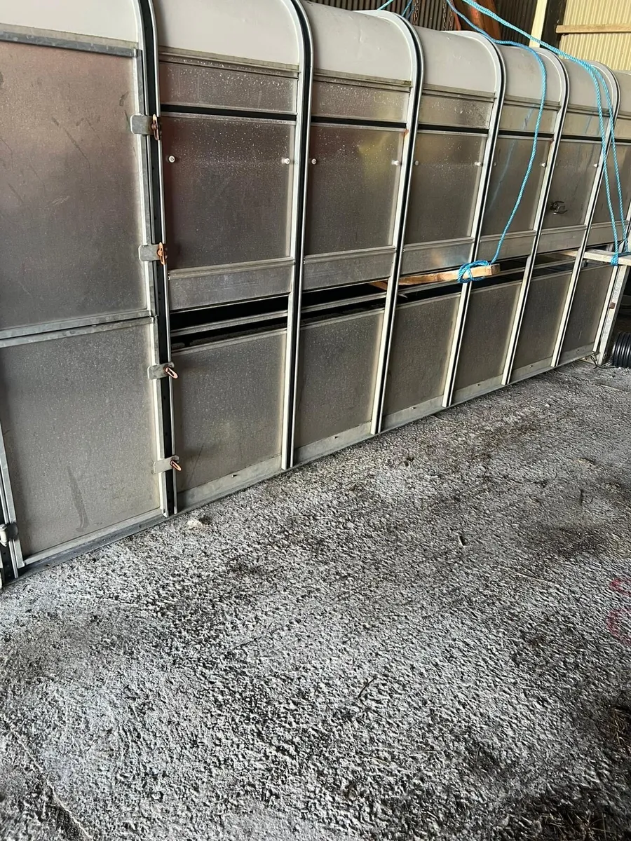 14ft cattle body for sale - Image 1