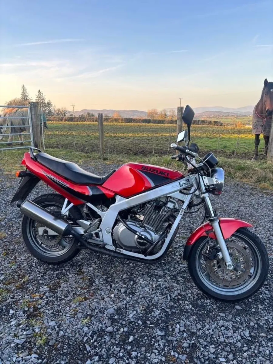 2000 Suzuki GS500E - Image 2