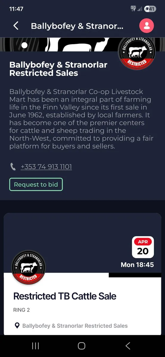 TB RESTRICTED CATTLE SALE - Image 2