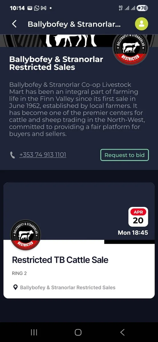 TB RESTRICTED CATTLE SALE - Image 1
