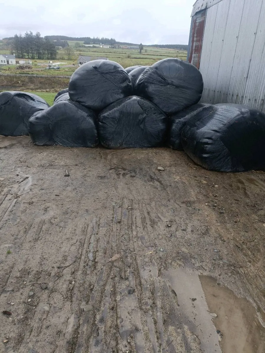 Silage bales