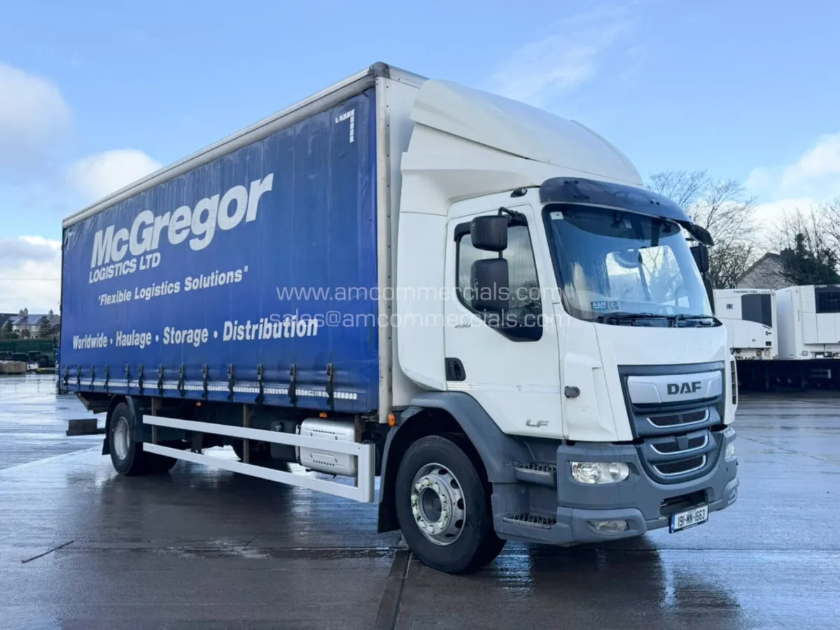 2019 DAF CF 260 CURTAINSIDER - Image 1