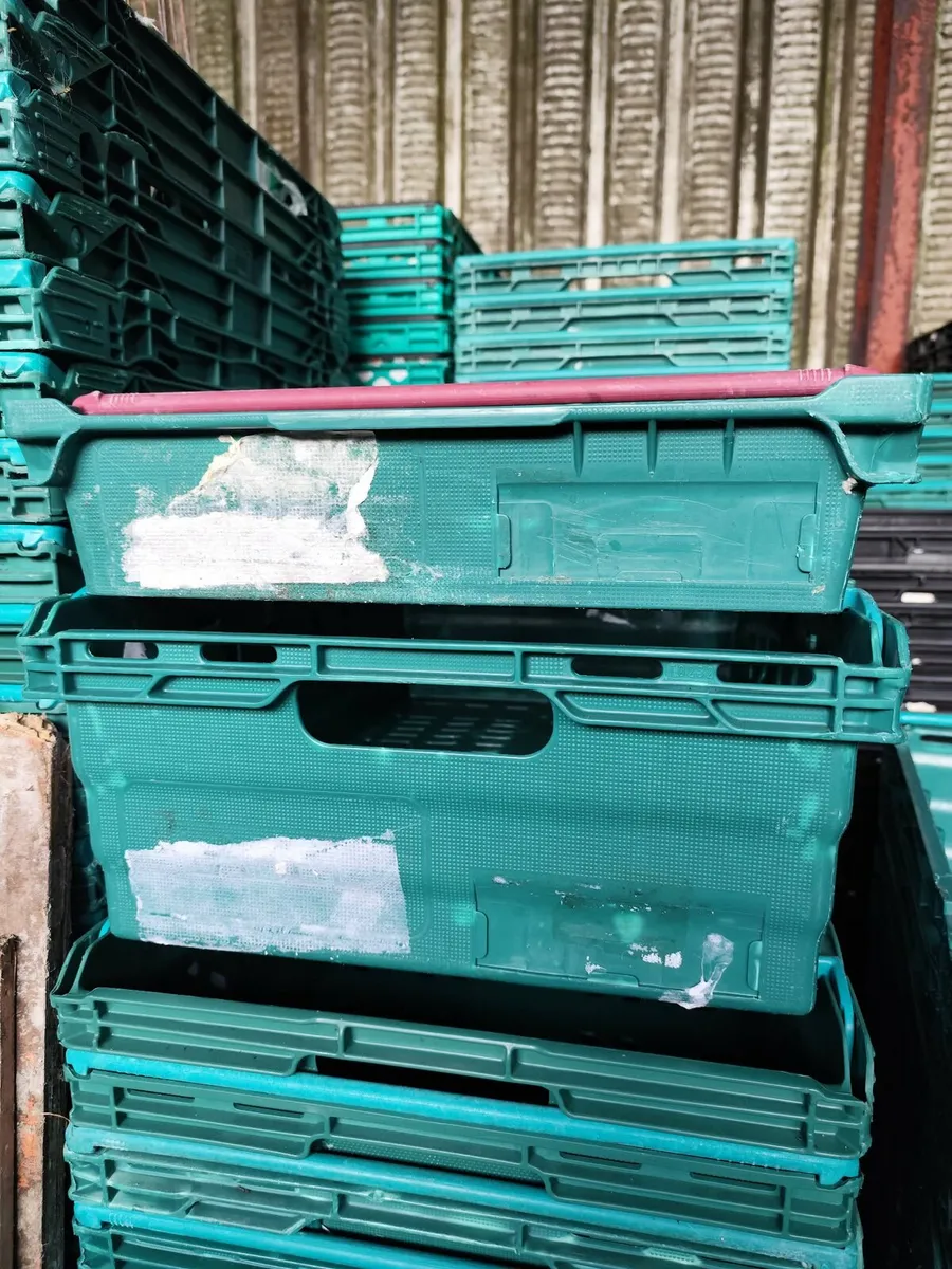 Storage crate box - Image 1