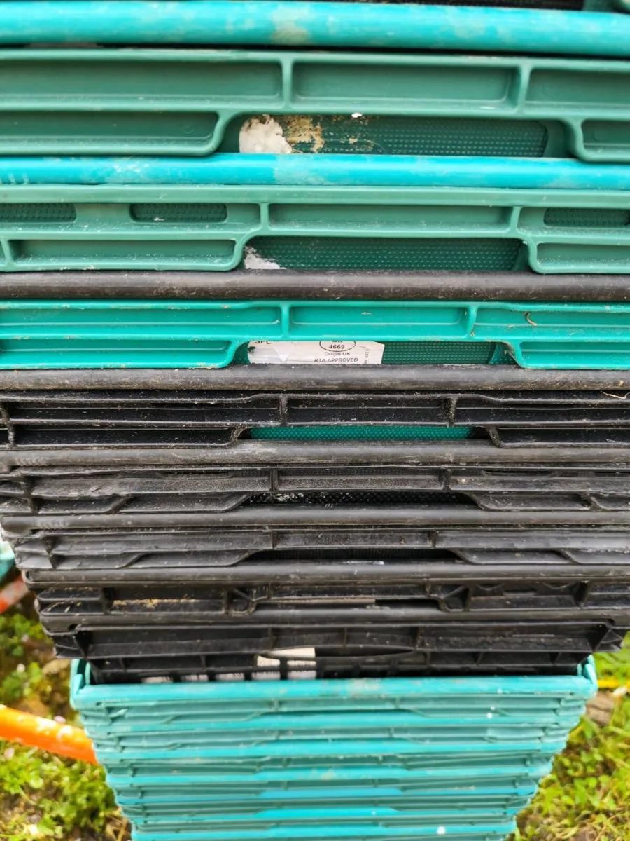 Storage crate box - Image 4