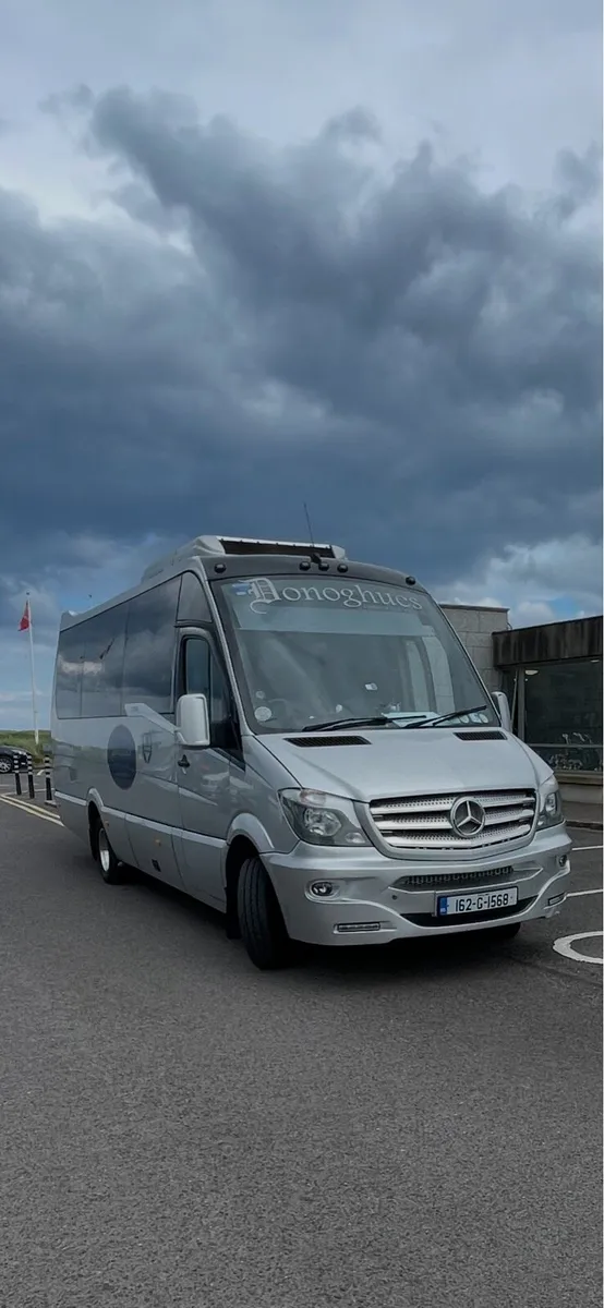 Choice of sprinters - Image 3