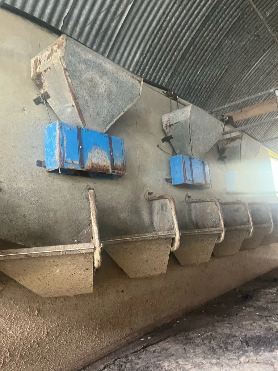 Milking parlour and tank - Image 4