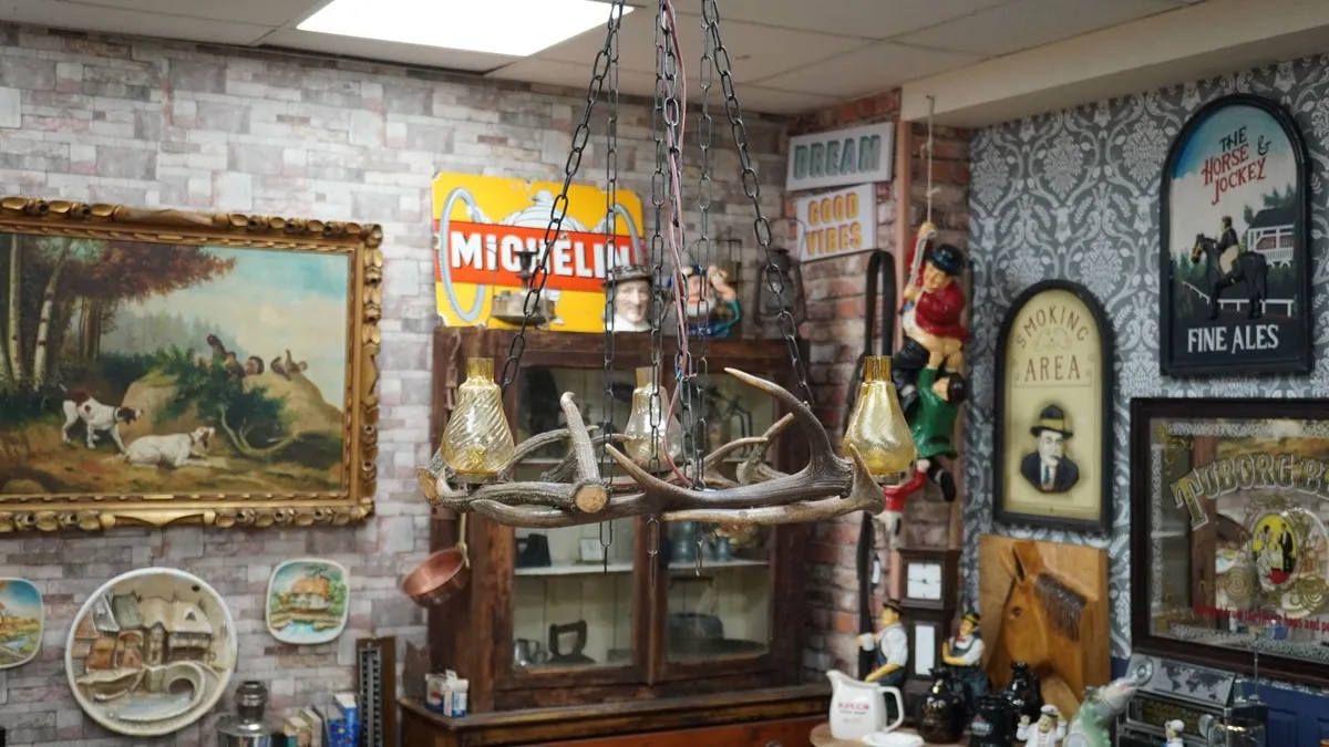 Rustic Antler Chandelier - Image 1