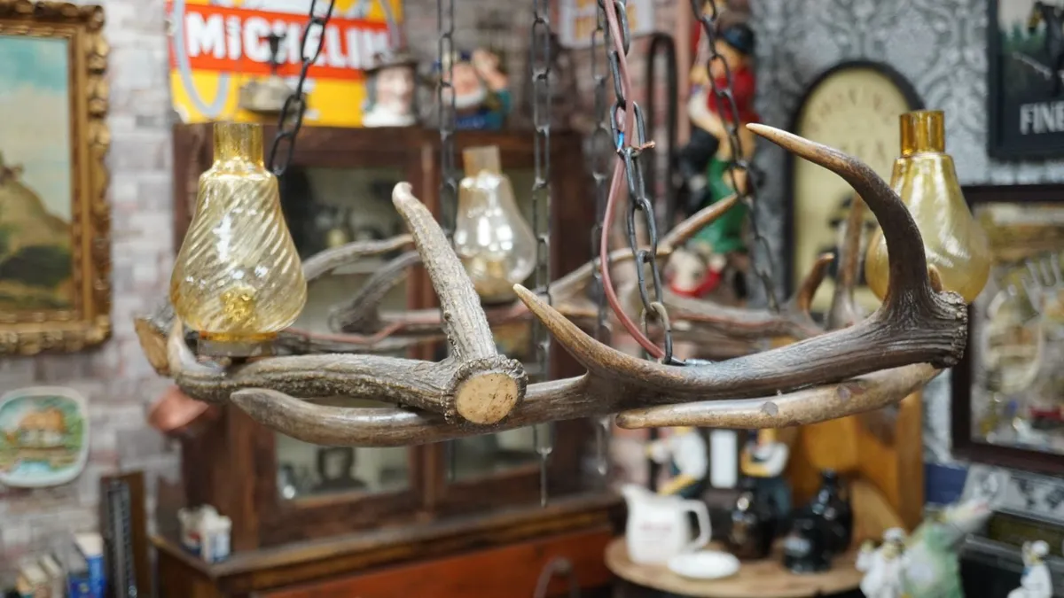 Rustic Antler Chandelier - Image 3