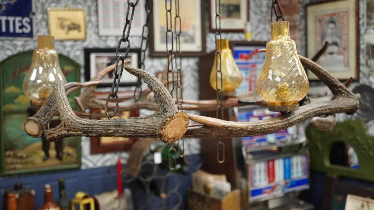 Rustic Antler Chandelier - Image 4