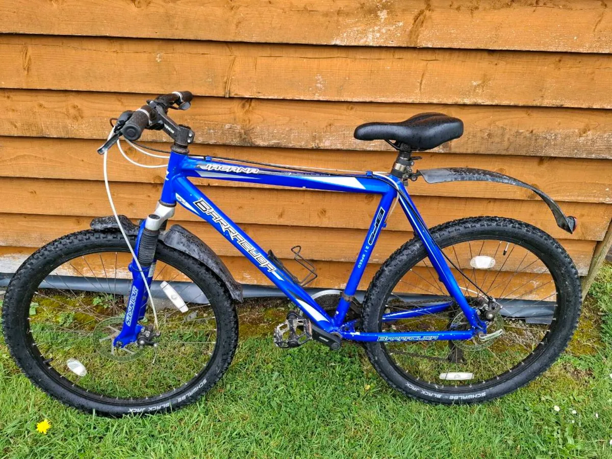 Gents mountain bike - Image 1