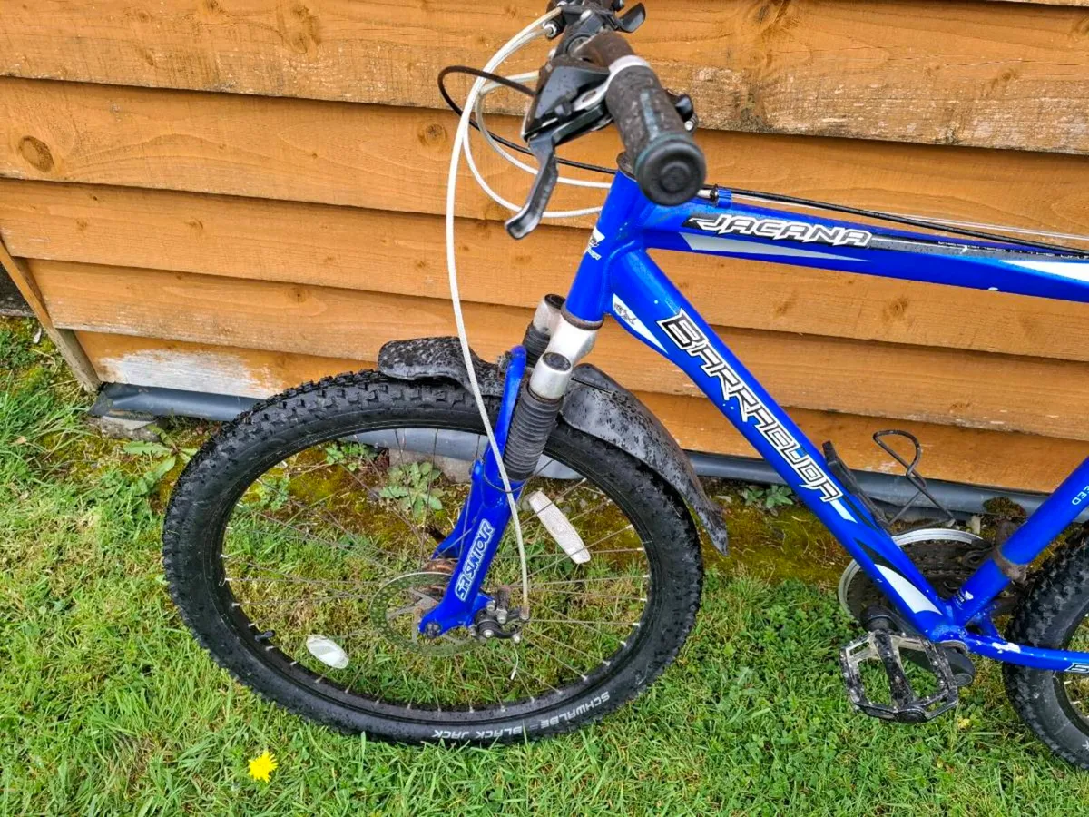 Gents mountain bike - Image 2