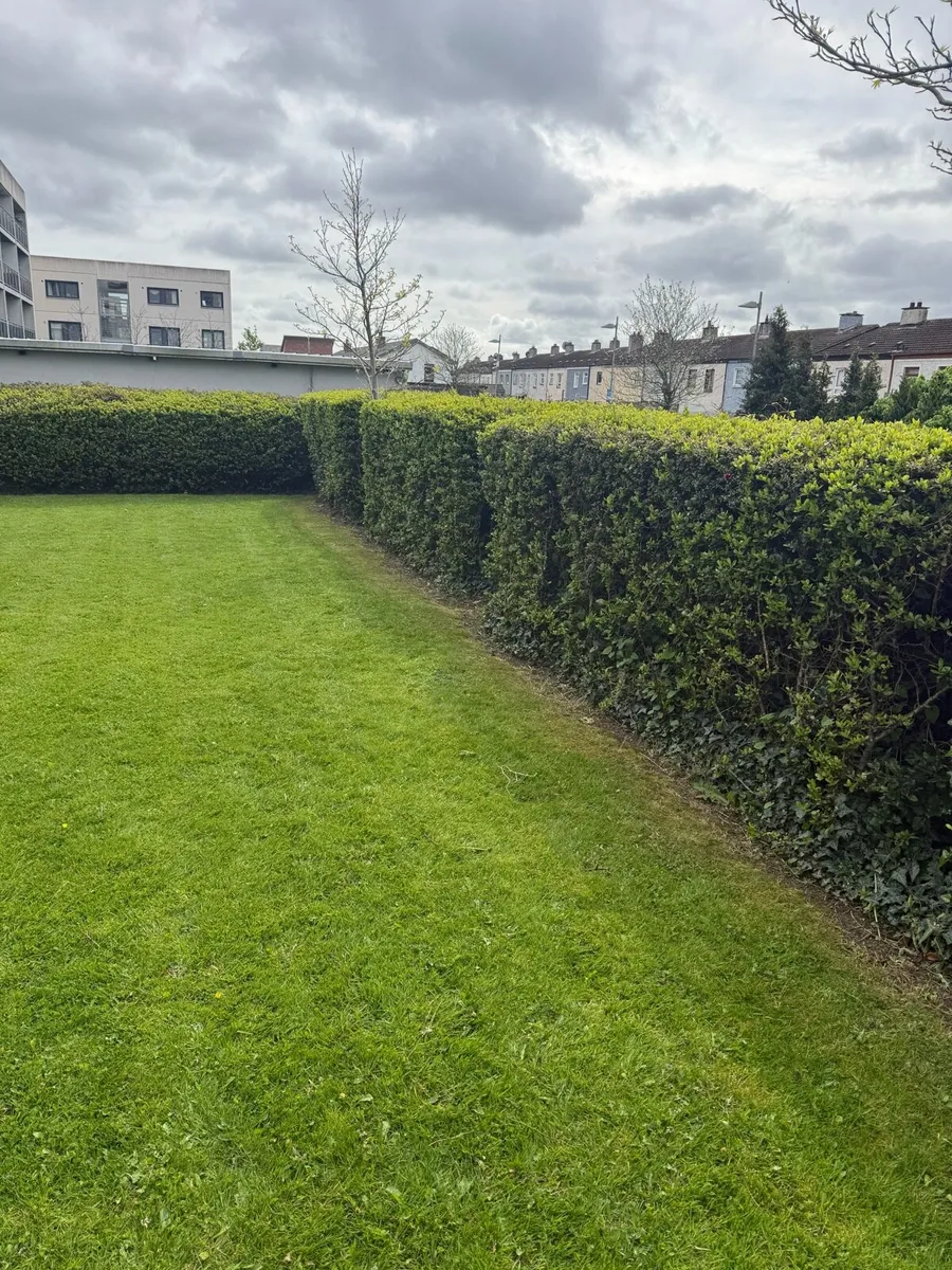 Handyman Services - Image 3