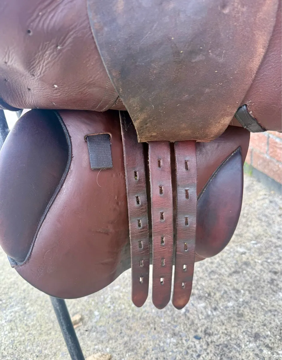 Jaguar/ Harry Dabbs 17.5inch Saddle - Image 4