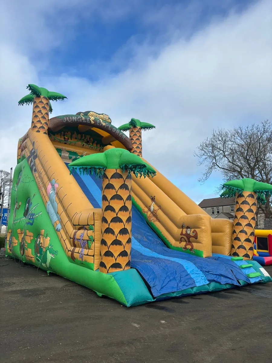 Bouncy Castle - inflatable slide - Image 1