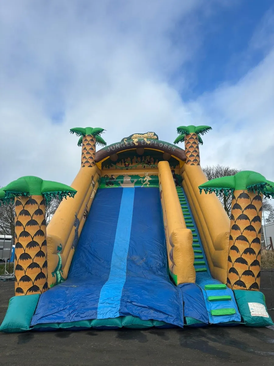 Bouncy Castle - inflatable slide - Image 2