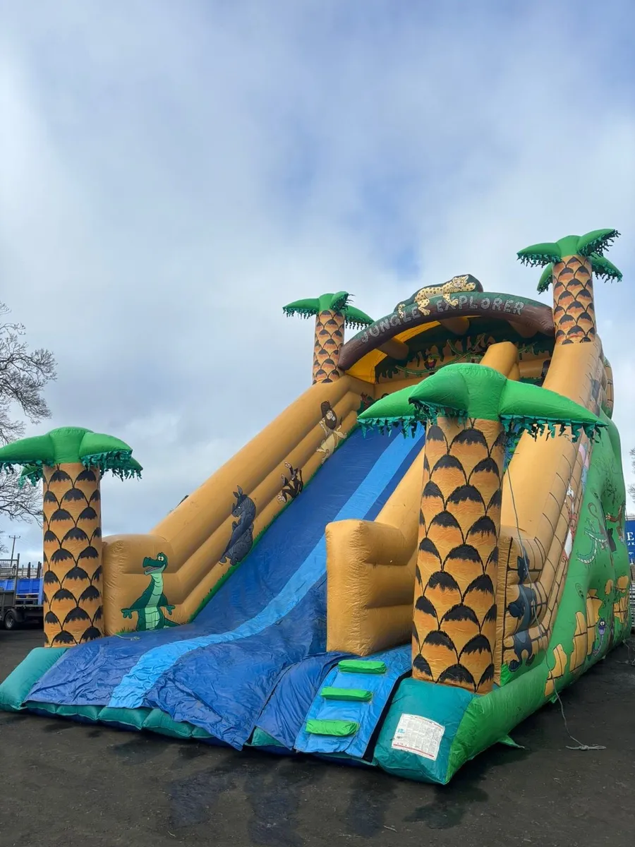 Bouncy Castle - inflatable slide - Image 3