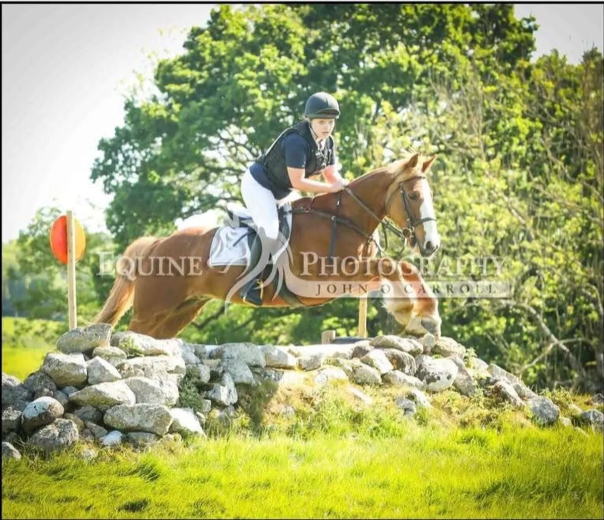 Experienced all-rounder - Image 2