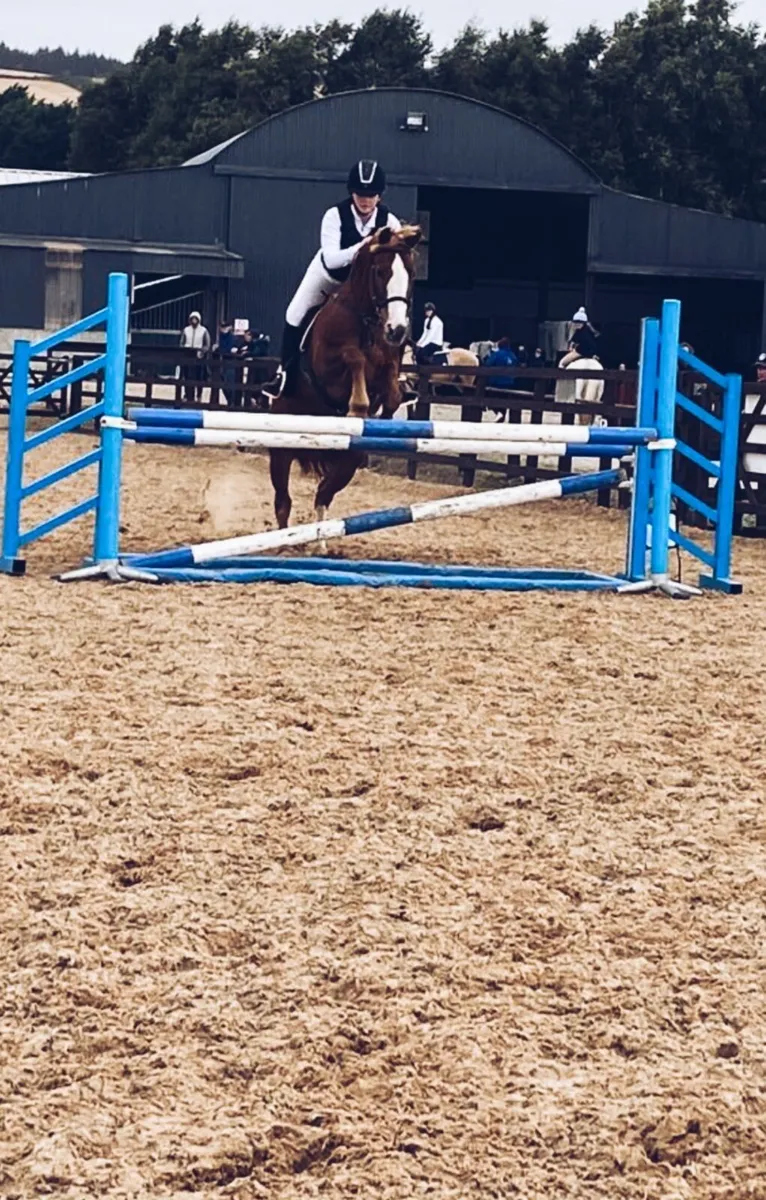 Experienced all-rounder - Image 1