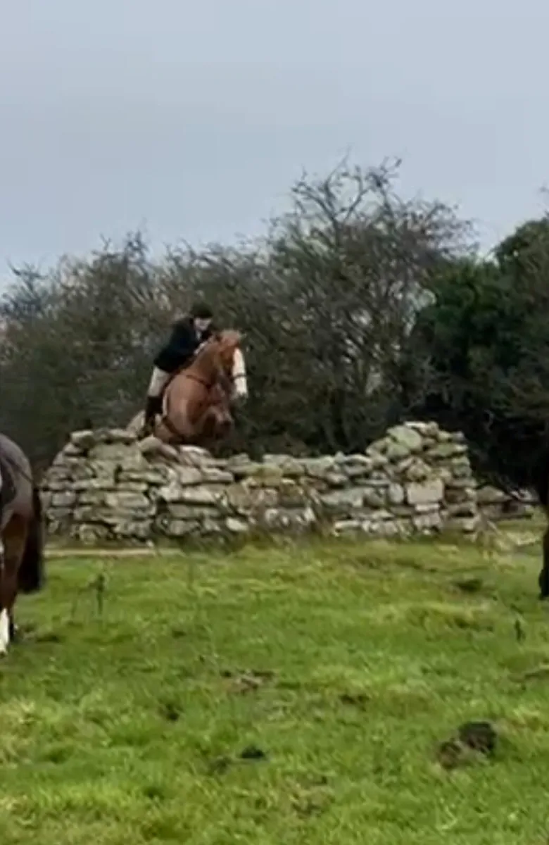 Experienced all-rounder - Image 3