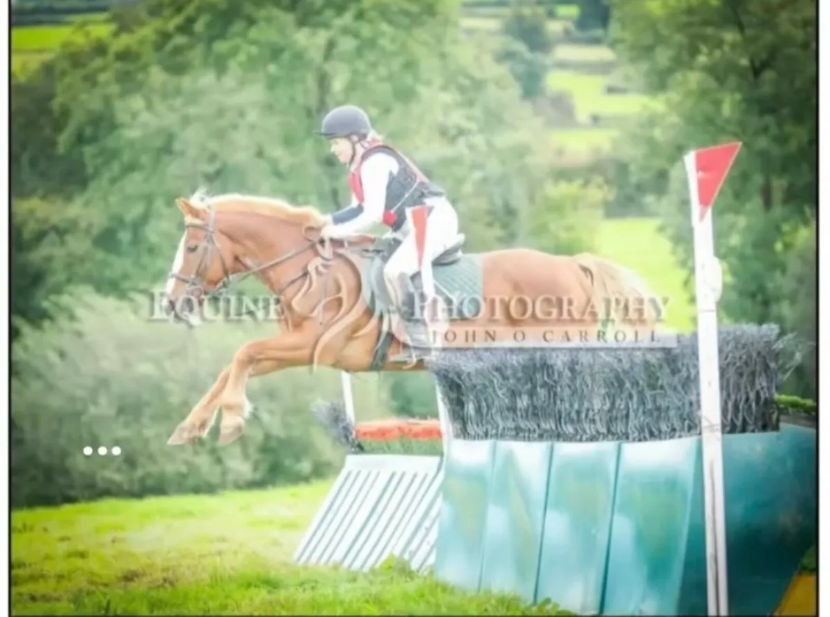 Experienced all-rounder - Image 4