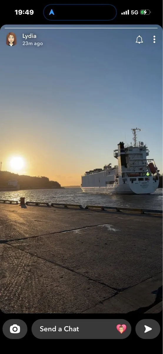 BELGUIM BLUE BULLS REQUIRED - Image 3