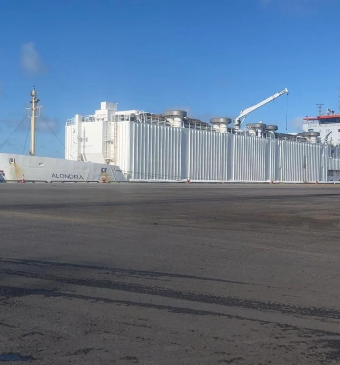 BELGUIM BLUE BULLS REQUIRED - Image 1